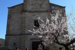 LA FREGENEDA: La Fiesta del Almendro espera el próximo 1 de marzo la visita de miles de personas