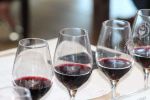 Los vinos de la Denominación Arribes logran seis galardones en el concurso Vinduero-Vindouro 2016