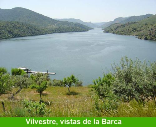 72-194_-_Vilvestre_vistas_de_la_Barca.jpg