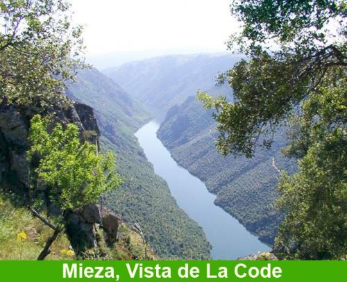 e323-175-mieza-vista-code.jpg