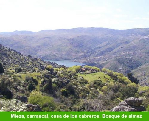 e323-179-mieza-carrascal-casa-los-cabreros-bosque-almez.jpg